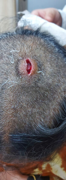 20231209_115102 20231209_115102