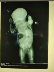 IMG_20240630_122629 IMG_20240630_122629