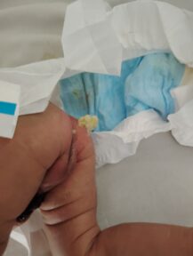 IMG_20240630_122807 IMG_20240630_122807